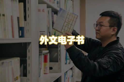 外文电子书